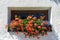 Flower window in a whitewashed facade