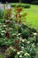 Flowerbed in botanical garden with various summer annual plants and flowers, green lawn in background