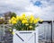 Flowerbed on the bridge of Mont Blanc