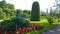 Flowerbed with bright flowers of pink geranium, white and red begonia in garden. Thuja topiary and shrubs. Gardening background.