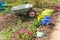 Flowerbed and gardener equipment wheelbarrow garden cart watering can garden rake in garden on summer day. Farm worker