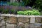 Flowerbed over a stone stone wall with joints filled with concrete with perennials of white green and blue color