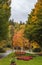 Flowerbed in the park, Karlovy Vary