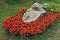 Flowerbed in the park. On the lawn, a large stone is surrounded by small red buds