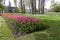 A flowerbed of pink and orange tulips on the shores of Lake Constance