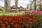 A flowerbed of pink and orange tulips on the shores of Lake Constance