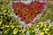 Flowerbed with red petunia and yellow marigold flowers in park