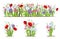 Flowerbed. Set of wild forest and garden flowers. Spring concept. Flat vector flower illustration isolate on a white