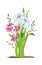 Flowerbed. Set of wild forest and garden flowers. Spring concept. Flat vector flower illustration isolate on a white