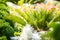 Flowerbed, Small Green palm tree In the garden. Beautiful landscaping. Garden Design