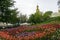 Flowerbed of tulips pink - purple - red