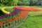 Flowerbed of tulips white - purple - red - yellow