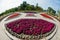 Flowerbed, urban park infrastructure