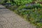 Flowerbed with wild flora of blue flower bulbs. concrete paving with a pattern of circles embossed in cement. landscape landscapin