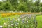 Flowerbeds in Park