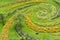 Flowerbeds, spiral flower bed with spring flowers in bloom in Park with gardener - aerial view