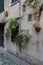 Flowered alley in Albissola Marina