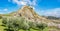 Flowered Almond trees and Olive trees near Beas de Granada , Spain