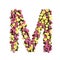Flowered alphabet floral letter collection
