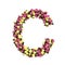 Flowered alphabet floral letter collection