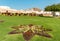 Flowered garden of the Al Alam Palace in Old Muscat in Sultanate of Oman