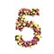 Flowered numbers floral letter collection