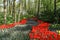 Flowered Path In Woods