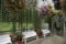 Flowered plants hanging on a fence