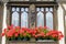 Flowered window of old house in Normandy