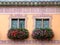 Flowered windows of Obernai townhall - Alsace