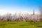 Flowering apricot trees against Ararat, Yerevan, Armenia