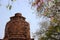 Flowering Blooming Pink Cassia Flowers And Old Pagoda