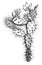 Flowering Branch of Optunia Multiflora vintage illustration