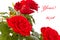 Flowering bush of red roses
