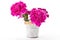 Flowering carnations in a bucket