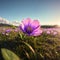 Flowering clower in spring, beautiful nature in meadow made with Generative AI