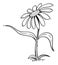 Flowering Daisy Plant Cartoon Character Pointing at Something by Leaf, Vector Illustration