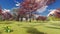 Flowering dogwood trees in orchard in spring time 3d rendering