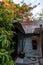 Flowering exotic plants above the roof of the house.