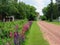 Flowering Farm Lane