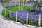 The flowering flower bed in the city park blooms here with blue and yellow flowers, which are separated from the road by a rope