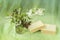 Flowering garden branches of different plants and two books, blurred pastel background, soft focus. Concept of seasons