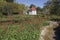 Flowering gardens at Rosedown Plantation.