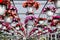 Flowering hanging garden baskets