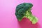 Flowering head of broccoli on pink background. Space for text