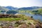 Flowering heather at Haweswater Reservoir, in Bampton, Cumbria.