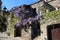 Flowering house in french village of Castelnou in Pyrenees