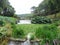 Flowering hydrangea bushes surround a pond in Trebah Garden, Cornwall, England