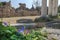 Flowering Ipomoea indica plant at antique colonnade of ancient Greek west gymnasium blurry background