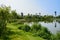 Flowering lakeside in city of sunny summer morning